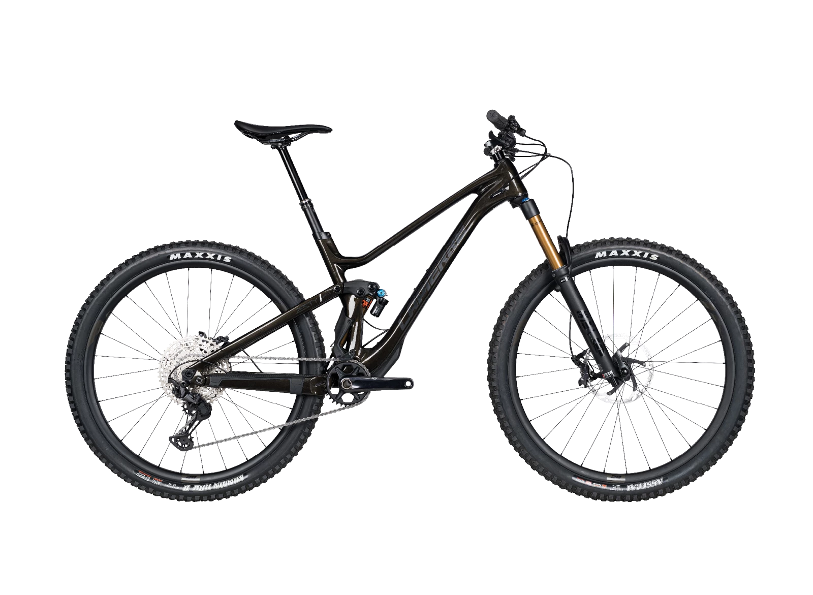 Zesty AM CF 8.9 2023